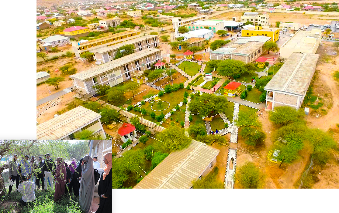 Welcome to University of Hargeisa