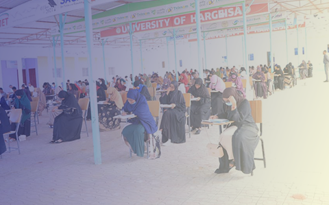 Undergraduate Admissions