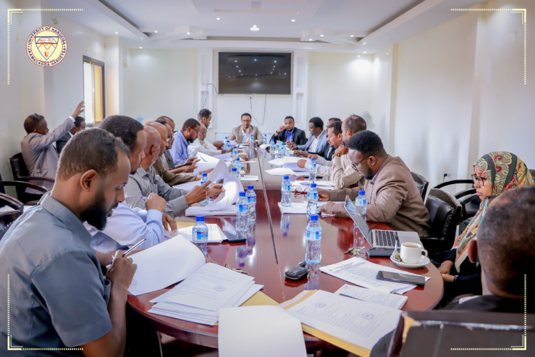 Powers, Duties & Responsibilities of the University Of Hargeisa Senate: