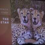 Students from the College of Agriculture, Veterinary and Environment Participate in Wildlife and Environmental Conservation Training and Field Visit