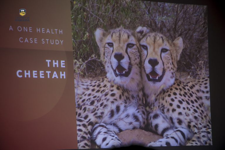 Students from the College of Agriculture, Veterinary and Environment Participate in Wildlife and Environmental Conservation Training and Field Visit